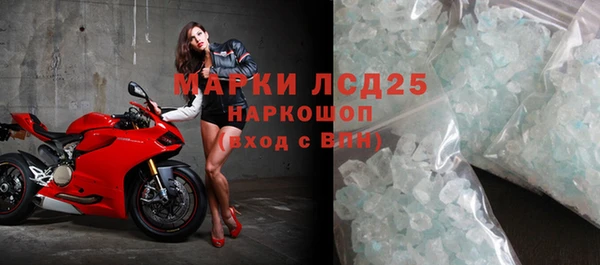 прущие грибы Балабаново