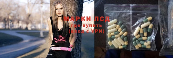 прущие грибы Балабаново