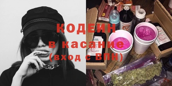 прущие грибы Балабаново